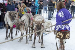 Aborígene locais - Khanty, crianças do passeio em um trenó da rena de três cervos, trenó, inverno, “Seeing fora do festival do fotografia de stock Aborígene locais - Khanty, crianças do passeio em um trenó da rena de três cervos, trenó, inverno, “Seeing fora do festival do fotografia de stock