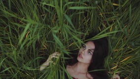 From above, aerial view of attractive long-haired brunette girl lying in green high grass, stroking, touching the