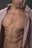 ABS et torse masculins sexy superbes image stock ABS et torse masculins sexy superbes image stock