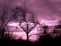 Abstract and beautiful love tree royalty free stock photography Abstract and beautiful love tree royalty free stock photography