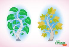 Abstract beeld van een berk en een esdoorn Fijne vectorbomen Weelderig gebladerte en gebogen takken Ge?soleerde voorwerpen op wit vector illustratie Abstract beeld van een berk en een esdoorn Fijne vectorbomen Weelderig gebladerte en gebogen takken Ge?soleerde voorwerpen op wit vector illustratie