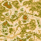 Abstract beige string pattern. Microscopic neuron connections. Texture background. Seamless illustration. vector illustration Abstract beige string pattern. Microscopic neuron connections. Texture background. Seamless illustration. vector illustration