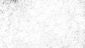 Abstract black randomly moving dots on white background. Animation. Small black particles move on bright white