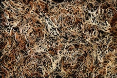 Abstract Brown Fabric Texture and Background Stock Photos Abstract Brown Fabric Texture and Background Stock Photos