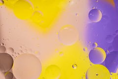 Abstract colorful Background Oil in Water surface Foam of Soap with Bubbles macro shot close-up stock photos Abstract colorful Background Oil in Water surface Foam of Soap with Bubbles macro shot close-up stock photos