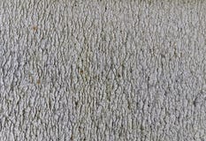 abstract concrete wall rough texture and pattern  Light greenish gray, beautiful for the background.