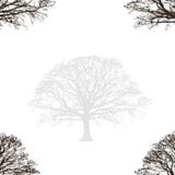 Abstract Eiken Ontwerp royalty-vrije illustratie Abstract Eiken Ontwerp royalty-vrije illustratie