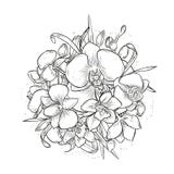 Abstract elegant uitstekend malplaatje met orchidee vector illustratie Abstract elegant uitstekend malplaatje met orchidee vector illustratie