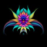 Abstract Exotic Flower On Black Background. Stock Photography Abstract Exotic Flower On Black Background. Stock Photography