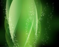 Abstract Green Plant Stock Images