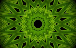 Abstract greenery background, palm leaves with kaleidoscope effect, mandala flora geometric pattern. stock illustration Abstract greenery background, palm leaves with kaleidoscope effect, mandala flora geometric pattern. stock illustration