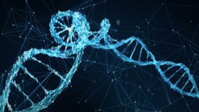 Abstract Motion Background - Digital Binary Plexus DNA molecule 4k Loop