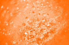 Abstract Orange Background Stock Photography