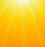 Abstract Orange Background With Sun Light Rays Royalty Free Stock Images