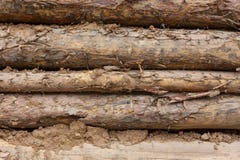 Pine logs wall abstract pattern texture background stock photos Pine logs wall abstract pattern texture background stock photos