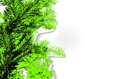 Abstract photo of coniferous branches in UFO green color royalty free illustration Abstract photo of coniferous branches in UFO green color royalty free illustration