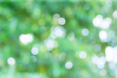 Abstract unfocused green nature forrest background Stock Photos Abstract unfocused green nature forrest background Stock Photos
