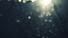 Abstract Water Surface Bokeh with Waves And Light Particles Glittering in the Sun
