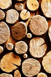 Abstract Wood Log Background Royalty Free Stock Images Abstract Wood Log Background Royalty Free Stock Images