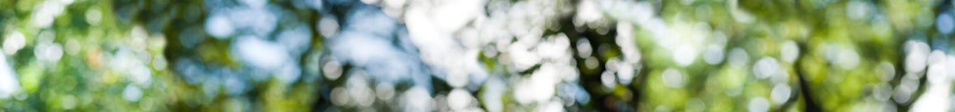 Abstracte achtergrond van groene groente stock afbeeldingen Abstracte achtergrond van groene groente stock afbeeldingen