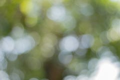 Abstracte blauwe Bokeh, visuele kwaliteit van de uit-van-nadrukgebieden van een fotografisch beeld, vooral zoals die door een bep royalty-vrije stock afbeeldingen Abstracte blauwe Bokeh, visuele kwaliteit van de uit-van-nadrukgebieden van een fotografisch beeld, vooral zoals die door een bep royalty-vrije stock afbeeldingen
