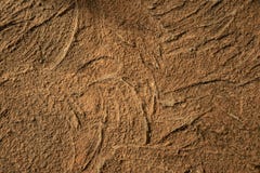 Abstracte tekening van rood cement met zonneglans stock fotografie Abstracte tekening van rood cement met zonneglans stock fotografie