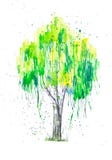 Abstracte waterverfillustratie van groene Russische die berkboom met splashis op witte achtergrond wordt geïsoleerd Hand op papie vector illustratie Abstracte waterverfillustratie van groene Russische die berkboom met splashis op witte achtergrond wordt geïsoleerd Hand op papie vector illustratie