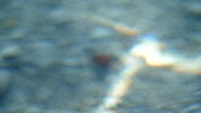 Abstraction. very close-up of sea water and reflection of sun rays, radiance. stock video footage Abstraction. very close-up of sea water and reflection of sun rays, radiance. stock video footage