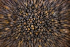 Abstrakcjonistyczna tło prędkość zbliża się kreskowych plamy czerni peppercorns menu projekta podstawowego udział groch obraz royalty free Abstrakcjonistyczna tło prędkość zbliża się kreskowych plamy czerni peppercorns menu projekta podstawowego udział groch obraz royalty free