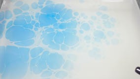 Abstrakte Farbentinte in der Bewegung Psychedelische Hintergrundgesamtl?nge Bunte Punkte Ebru-Kunst Abschluss oben Clolorful-Wass stock video Abstrakte Farbentinte in der Bewegung Psychedelische Hintergrundgesamtl?nge Bunte Punkte Ebru-Kunst Abschluss oben Clolorful-Wass stock video