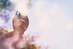 Abstraktes Bild von man& x27; s-Hand, die trockenes und gebrochenes trockenes Blatt gegen bokeh Hintergrund hält lizenzfreies stockbild Abstraktes Bild von man& x27; s-Hand, die trockenes und gebrochenes trockenes Blatt gegen bokeh Hintergrund hält lizenzfreies stockbild