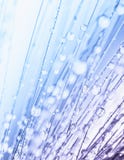 Abstraktes Makrofoto von Betriebssamen mit Wasser lizenzfreies stockfoto Abstraktes Makrofoto von Betriebssamen mit Wasser lizenzfreies stockfoto