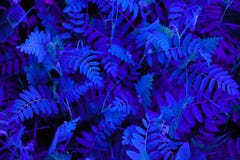 Abstraktion der blauen Neonfarbe lizenzfreies stockfoto Abstraktion der blauen Neonfarbe lizenzfreies stockfoto
