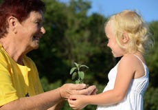 Abuela y nieta que mantienen una planta unida imagenes de archivo Abuela y nieta que mantienen una planta unida imagenes de archivo