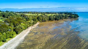 Acantilado en una playa soleada con tierras de labrantío en el fondo Auckland, Nueva Zelandia Imagen de archivo Acantilado en una playa soleada con tierras de labrantío en el fondo Auckland, Nueva Zelandia Imagen de archivo