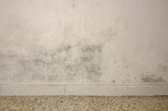 Accumulation de moule et d'humidité sur un mur photos libres de droits Accumulation de moule et d'humidité sur un mur photos libres de droits