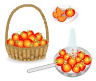 accumulazione Raccolga un pomodoro in un canestro Le verdure sono lavate in una colapasta sotto l'acqua corrente Affettato su un illustrazione vettoriale accumulazione Raccolga un pomodoro in un canestro Le verdure sono lavate in una colapasta sotto l'acqua corrente Affettato su un illustrazione vettoriale