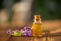 Aceite esencial de la lavanda en botella hermosa en la tabla imágenes de archivo libres de regalías Aceite esencial de la lavanda en botella hermosa en la tabla imágenes de archivo libres de regalías