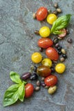 Aceitunas y albahaca de los tomates del fondo de la comida fotografía de archivo libre de regalías Aceitunas y albahaca de los tomates del fondo de la comida fotografía de archivo libre de regalías