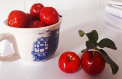 Acerola tropical de Fruts- imagenes de archivo Acerola tropical de Fruts- imagenes de archivo