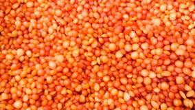 Achtergrond van rode linzen Linzen grote bron van vitaminen royalty-vrije stock afbeelding Achtergrond van rode linzen Linzen grote bron van vitaminen royalty-vrije stock afbeelding
