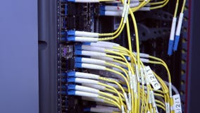 Achterkant van werkende gegevensservers met opvlammende LEIDENE lichten stock footage Achterkant van werkende gegevensservers met opvlammende LEIDENE lichten stock footage