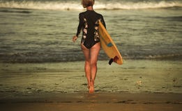 Achtermening van jong aantrekkelijk en sportief surfermeisje in koel zwempak bij de raad van de strand dragende branding in het o stock afbeelding Achtermening van jong aantrekkelijk en sportief surfermeisje in koel zwempak bij de raad van de strand dragende branding in het o stock afbeelding