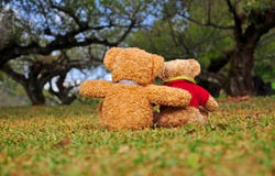 Achtermening van twee teddyberen die in de tuin met liefde zitten. stock afbeeldingen Achtermening van twee teddyberen die in de tuin met liefde zitten. stock afbeeldingen