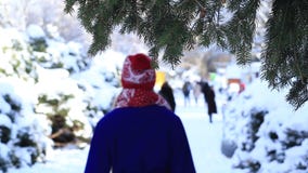 Achtermening van vrouw het wandelen in de winterpark stock footage Achtermening van vrouw het wandelen in de winterpark stock footage