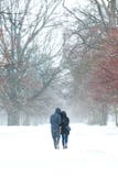 Acople o passeio junto na neve foto de stock Acople o passeio junto na neve foto de stock