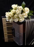 Acordeão do vintage e um ramalhete das rosas brancas Conceito de uma música nostálgica imagens de stock Acordeão do vintage e um ramalhete das rosas brancas Conceito de uma música nostálgica imagens de stock