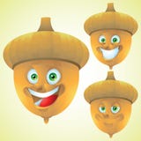 Funny Cartoon Acorn Character Stock Vector - Image: 45835342