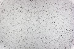 Acoustic Ceiling Board Texture Stock Photo Image Of