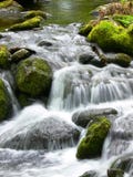 Acqua di fonte Acqua di fonte